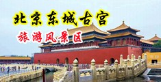 岛国欧美色图中国北京-东城古宫旅游风景区